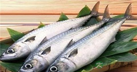 青砖鱼的吃法_哪些人不能吃青砖鱼