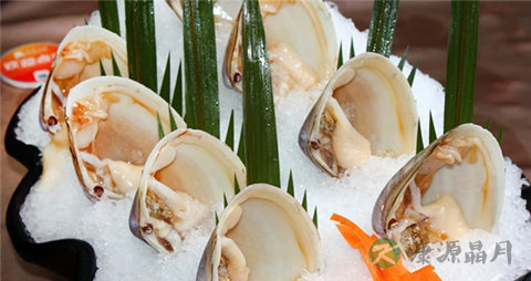 海蚌的吃法_哪些人不能吃海蚌