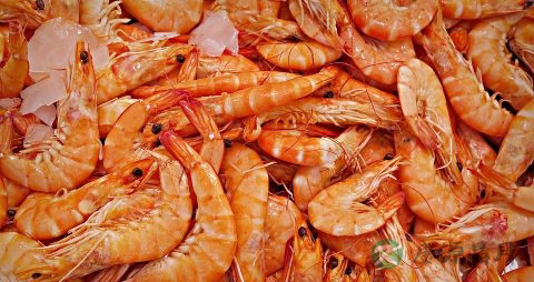 虾和莴笋能一起吃吗