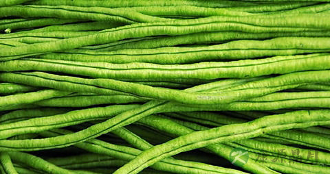 豆角的吃法_哪些人不能吃豆角