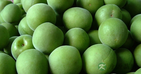 青梅的吃法_哪些人不能吃青梅