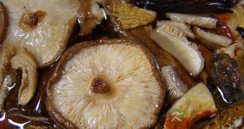 香菇煮粥需要焯水吗