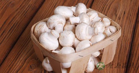 白蘑菇的吃法_哪些人不能吃白蘑菇