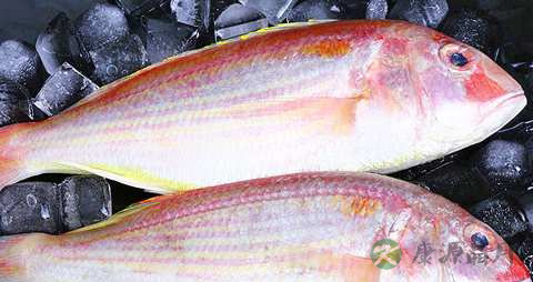 红衫鱼的营养价值_吃红衫鱼的好处
