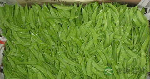 荷兰豆和豌豆的区别