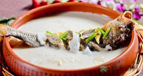 鲨鱼的吃法_哪些人不能吃鲨鱼