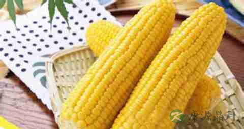 水果玉米的营养价值_吃水果玉米的好处