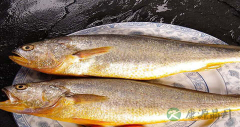 大黄鱼的营养价值_吃大黄鱼的好处