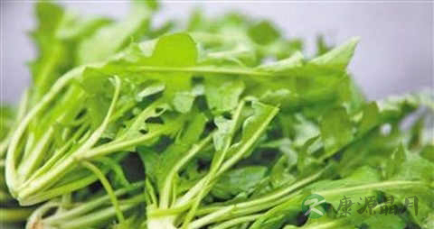 普通荠菜的吃法_哪些人不能吃普通荠菜