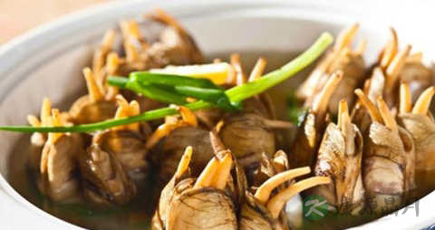 蛏青子的吃法_哪些人不能吃蛏青子