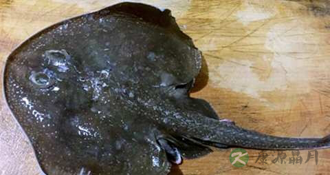 老板鱼的吃法_哪些人不能吃老板鱼