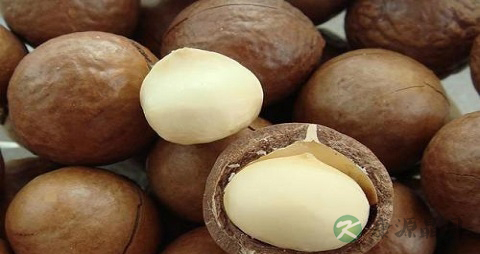 夏威夷果怎么剥