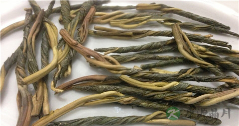 苦丁茶哪里产的最好