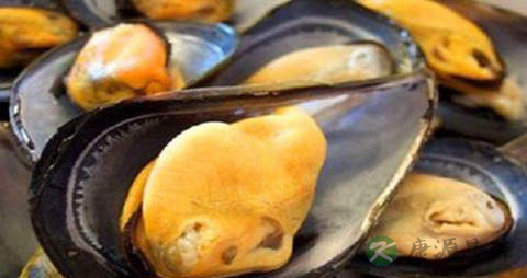 鲜贻贝的营养价值_吃鲜贻贝的好处