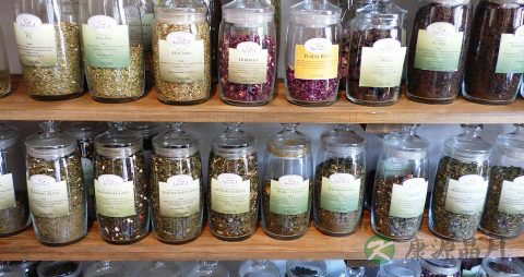 不同茶叶的冲泡方法