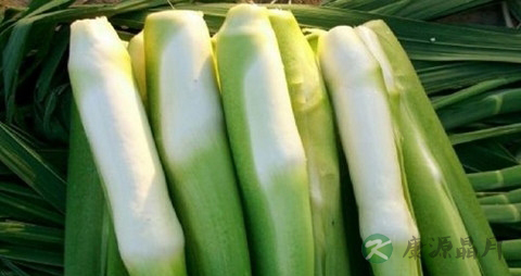 茭白和虾能一起吃吗 茭白和虾能一起吃吗