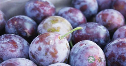 西梅是寒性的吗 西梅是寒性的吗