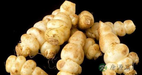 草石蚕的营养价值_吃草石蚕的好处 草石蚕的营养价值_吃草石蚕的好处