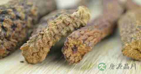 肉苁蓉的营养价值_吃肉苁蓉的好处