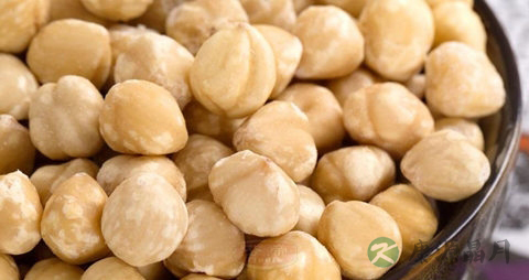 榛子仁的吃法_哪些人不能吃榛子仁