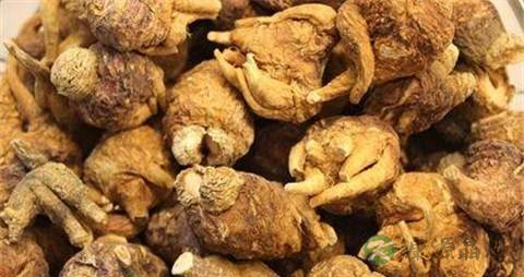 玛咖的吃法_哪些人不能吃玛咖