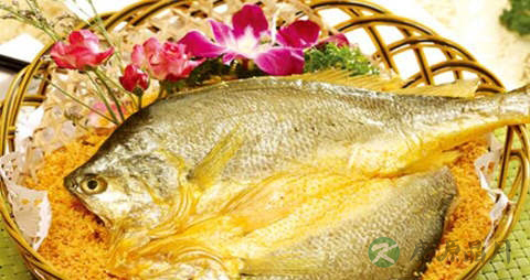 大黄鱼的营养价值_吃大黄鱼的好处