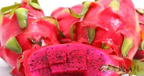 火龙果能蒸着吃吗 火龙果能蒸着吃吗