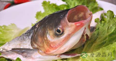 花鲢鱼的营养价值_吃花鲢鱼的好处
