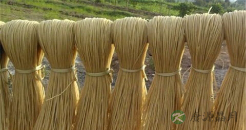 薯粉的营养价值_吃薯粉的好处