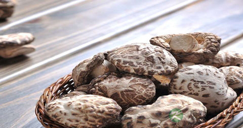 花菇的营养价值_吃花菇的好处