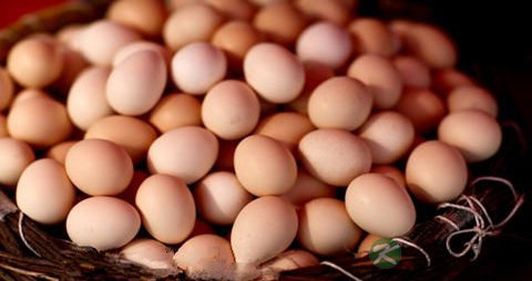 鸡蛋的吃法_哪些人不能吃鸡蛋