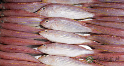 金线鱼的吃法_哪些人不能吃金线鱼