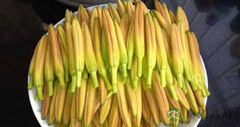 黄花菜的营养价值_吃黄花菜的好处