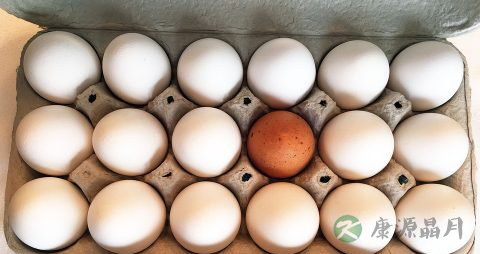 如何辨别鸡蛋的真假 如何辨别鸡蛋的真假