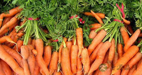 胡萝卜吃多了皮肤会变黄吗