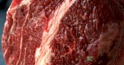 怎么卤牛肉更入味 怎么卤牛肉更入味