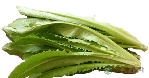 油麦菜的营养价值_吃油麦菜的好处