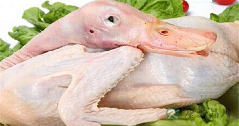 鸭肉和什么煲汤 鸭肉和什么煲汤