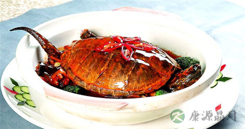 龟肉的吃法_哪些人不能吃龟肉