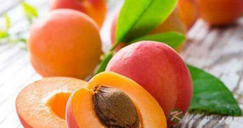 黄梅是什么季节的 黄梅是什么季节的