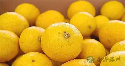 柑橘和橙子的区别