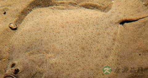 比目鱼的营养价值_吃比目鱼的好处