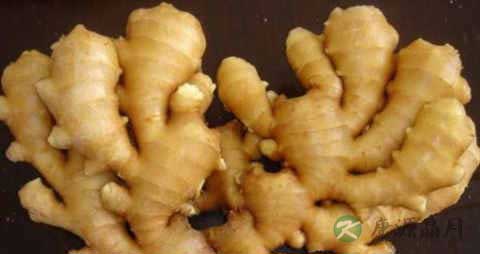 鲜姜的营养价值_吃鲜姜的好处