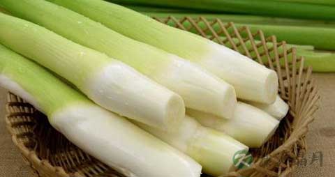 茭笋的吃法_哪些人不能吃茭笋 茭笋的吃法_哪些人不能吃茭笋