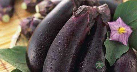 生吃茄子有毒吗