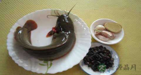 塘虱的营养价值_吃塘虱的好处