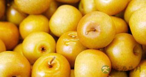 鹅黄梨的营养价值_吃鹅黄梨的好处