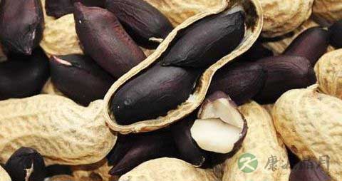 黑花生芽的营养价值