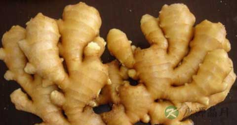 清蒸鱼需要先腌制吗