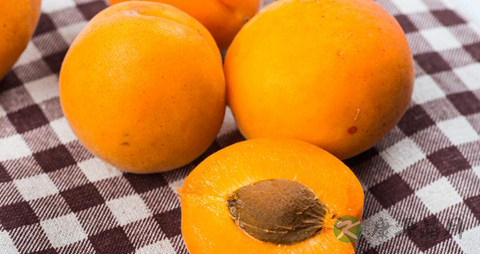 黄杏的营养价值_吃黄杏的好处